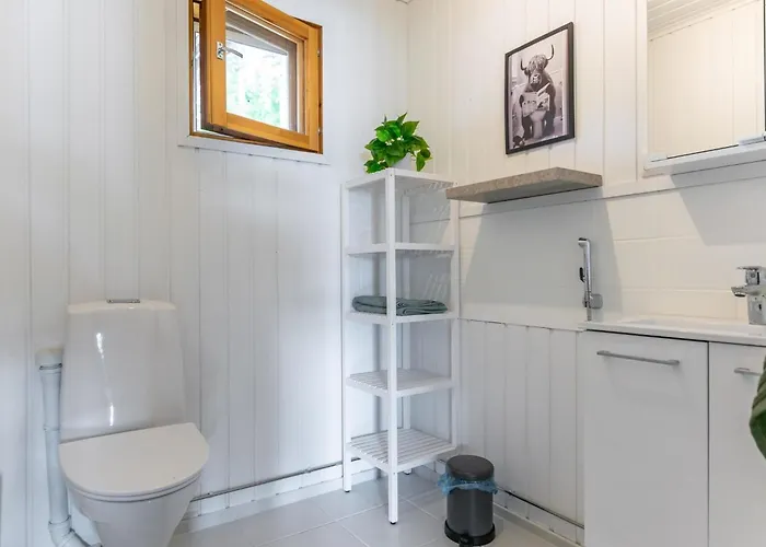 Ferienhaus Hanhenpesae By Interhome Rautalampi